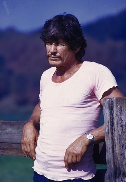 Charles Bronson