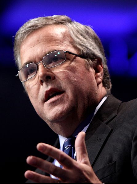 Jeb Bush