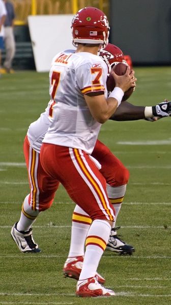 Matt Cassel