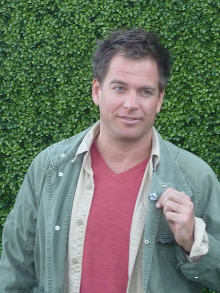 Michael Weatherly