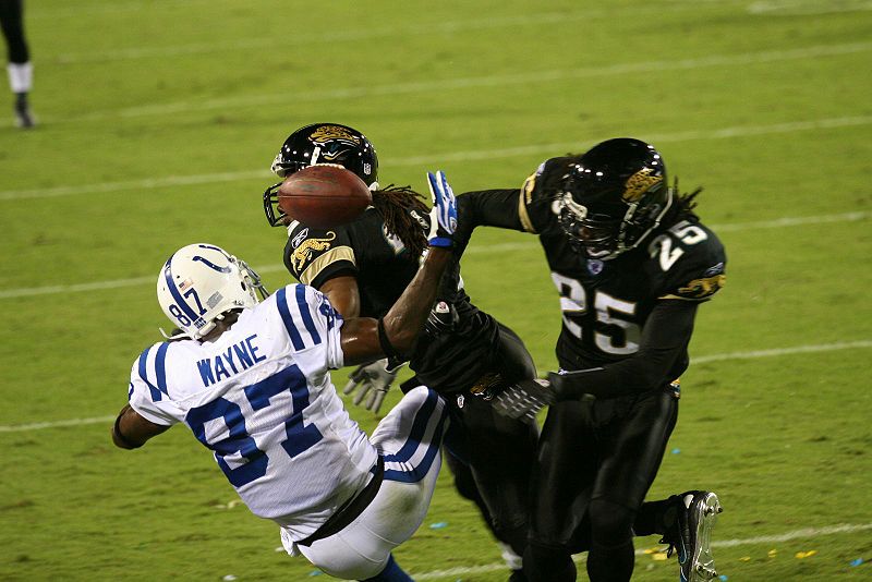 Reggie Wayne