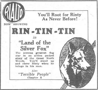 Rin Tin Tin