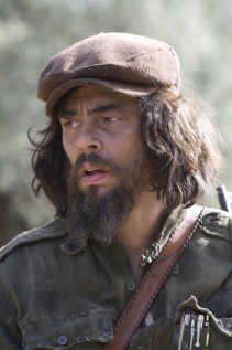 Benicio Del Toro