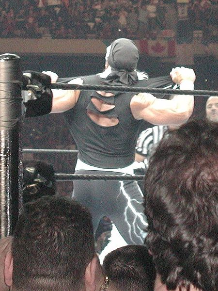 Hulk Hogan