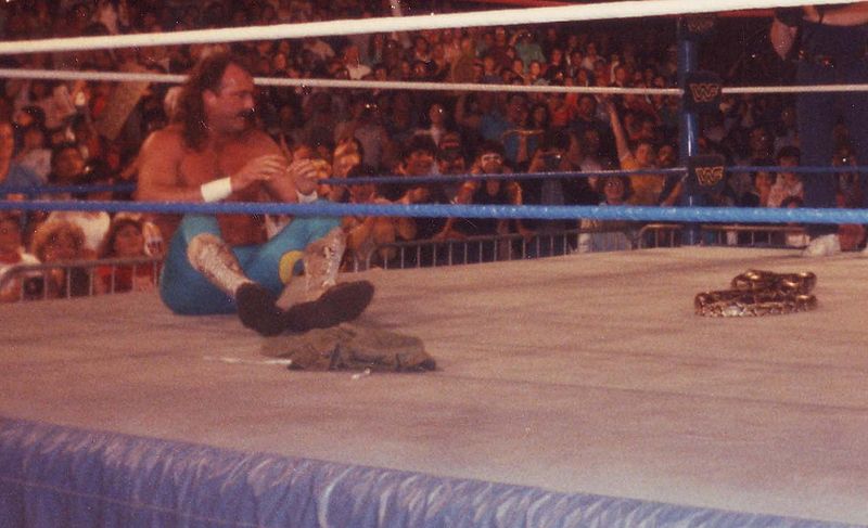 Jake Roberts