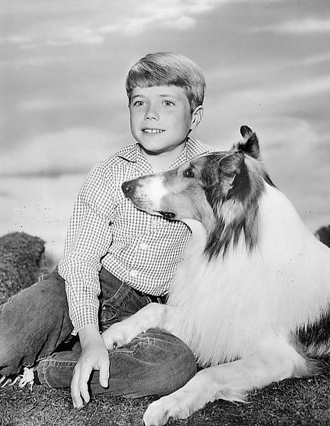 Jon Provost